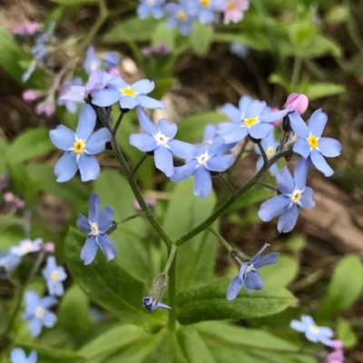 Abdirah83666555's profile picture. 😂😅😜