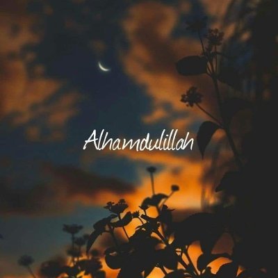 Nukhbasana1's profile picture. 