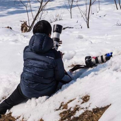 hyeonu6142's profile picture. 乗れない列車を撮る。