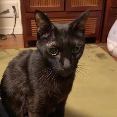 kuromaru_960's profile picture. センゴクタカシです。