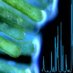 Pohnert lab (@pohnertl) Twitter profile photo Pohnert lab (@pohnertl) Twitter profile photo
