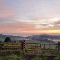 Myrid Bartlett (@mkbartlett13) 's Twitter Profile