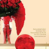 cikoline.com (@cikocikoline) 's Twitter Profile