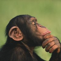Nothing (@74realistic) 's Twitter Profile Photo