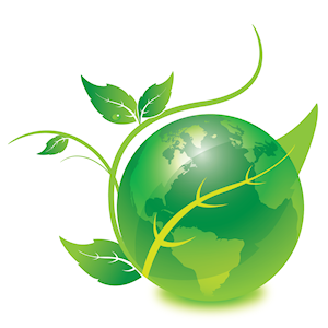 WebMeWeb's profile picture. #Website Services provider (#hosting, domain names, #vps).