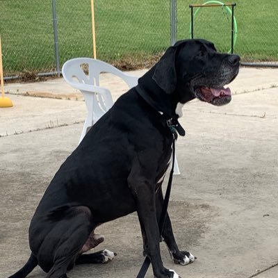 CReedy14651555's profile picture. Tesla fan, libertarian concerned about the environment.