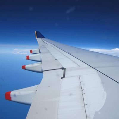 ti758_teruteru's profile picture. X初心者、使い方がわからず苦戦中。 ちなみに極度の人見知り(´･_･`) ただ、フォローや返信があるとめっちゃ喜びます（笑） 最近バンドリ沼から少し這い上がりつつ、V沼に浸かり始めた。 バンドリはRAS推し（CHU2様）ハロハピ推し（こころんとミッシェル） Mujica推し（オブリ）。Vは戌神ころね、桃鈴ねね、推し。