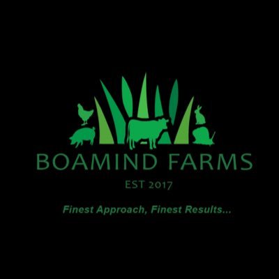 🐖🐓🐌🥒🍅🌶. Crops and Livestock Production, Farm Setup and Input Supplies, Advisory Services... whatsapp: 08147200002, IG: @boamindfarms
