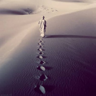 AsadTouqeer9's profile picture. 