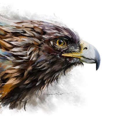 huy8895's profile picture.