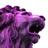 PurpleLeo
