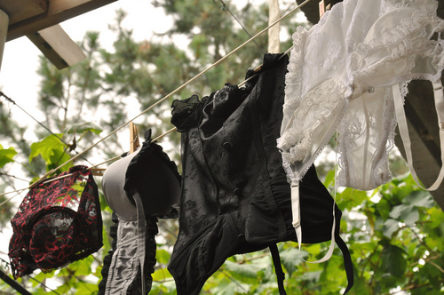 hushhushvines's profile picture. We are a boutique producer of premium quality wines. Our annual production is preciously limited.