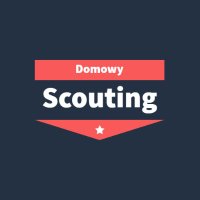Domowy Scouting - Piłkarze warci uwagi!(@DomowyScouting) 's Twitter Profileg