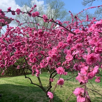 Coborn's profile picture. Married mom of two kids that are bored all the time & don’t think my jokes are funny. Believer in God. Question everything. Love dogs & being outside.