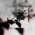 AboveAverage🧸📍 (@candydiamond18) Twitter profile photo AboveAverage🧸📍 (@candydiamond18) Twitter profile photo
