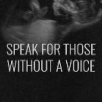 Pro-Life Logic (@prolifelogic2) 's Twitter Profile