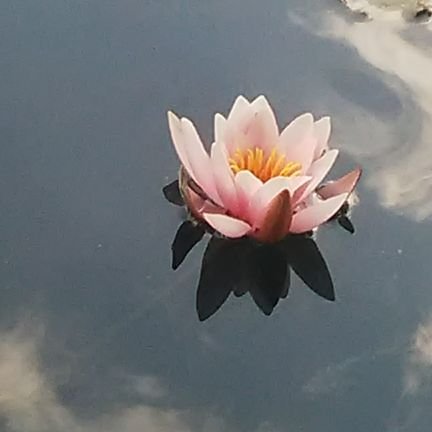 AdanClero's profile picture. 