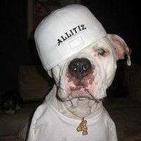 ALLiTiZ(@ALLiTiZ) 's Twitter Profile Photo