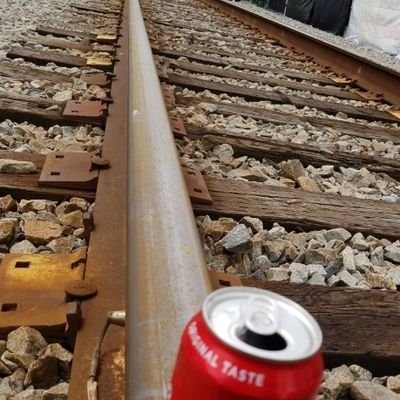 WordLandlord's profile picture. Libby app disliker/reluctant user