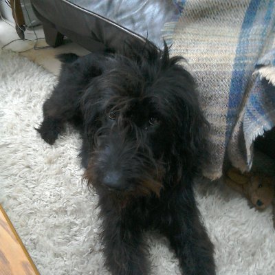 ZacOtway's profile picture. 