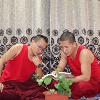 lobsang Nyendak (@lobsang_nyendak) 's Twitter Profile