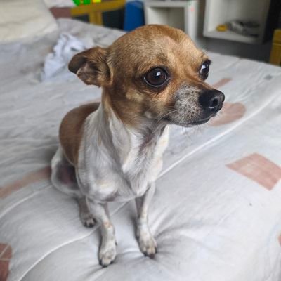 Vic_g1608's profile picture. Buscó perder el tiempo en Twitter