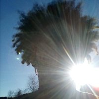 ORISHA (@richoudu37) 's Twitter Profile