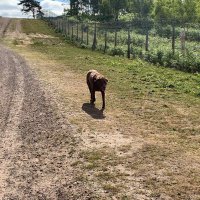 AKC (@tigerchauhan) 's Twitter Profile