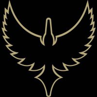 Solent Thrashers (@solentthrashers) 's Twitter Profile