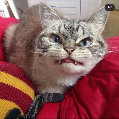 JeePhim's profile picture. No care, No​ serious.​