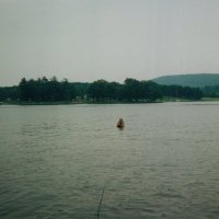 TpgTwt (@ttgmisc) 's Twitter Profile