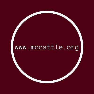 MoCattle Profile Picture