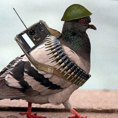 So many targets, so little time.