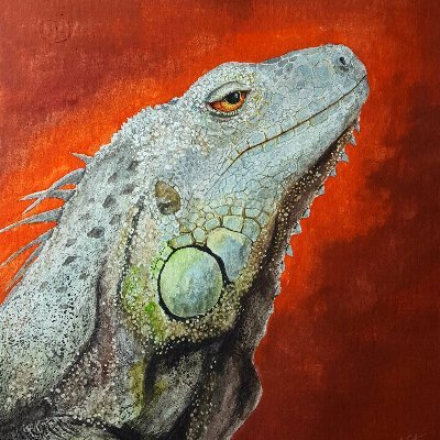El Jardín de los Lagartosさんのプロフィール画像