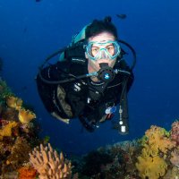 Michael Mehta Webster (@rescueeffects) 's Twitter Profile