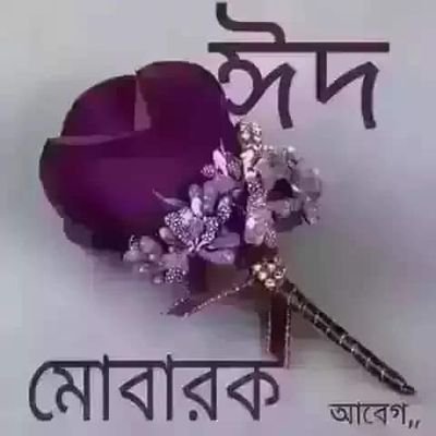 Farukkhondok1's profile picture. NHL Photography Literature United States Cabinet