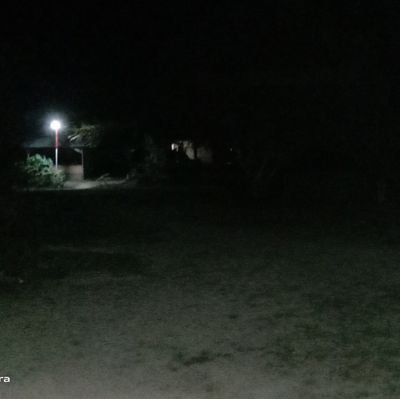 Pdewi5's profile picture. pppp