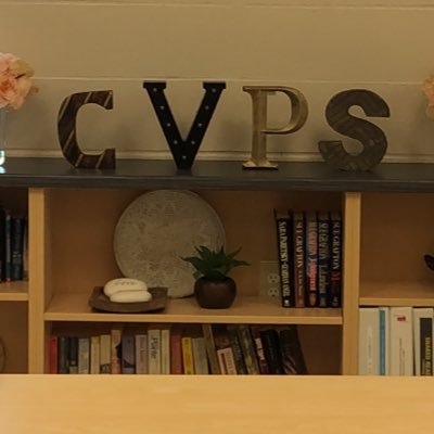 Countryside Village Public School Profile