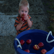 dbfitbing's profile picture. Helping you in your weight loss goals, I can help you find the right program for your needs