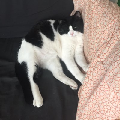 _alanna_87's profile picture. respect black trans women