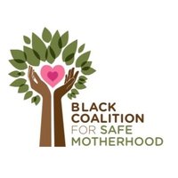 Black Coalition For Safe Motherhood(@BC_4_SM) 's Twitter Profileg