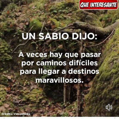 DiySotulmeu23's profile picture. Trabajar aprendez mucho más