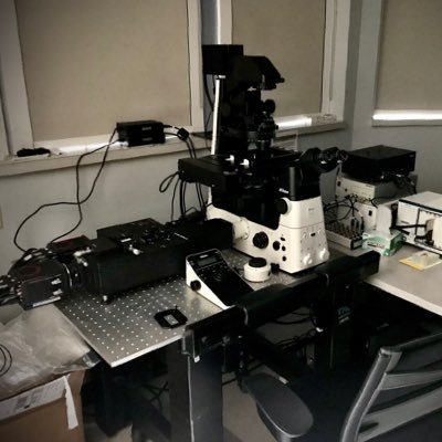 StefPercy1588's profile picture. Nikon Imaging Specialist for TN/AL, Colts fan, Ravenclaw, and animal lover 💜