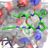 Richard Lee Lab (@richardleelab) 's Twitter Profile
