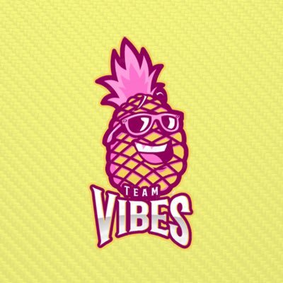 Official Twitter of Team Vibes 🍍 | Partnered with @3ZoneApparel