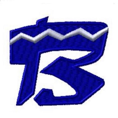 Fort Wayne Blues Profile