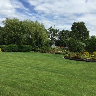 Rebecca8317's profile picture. 