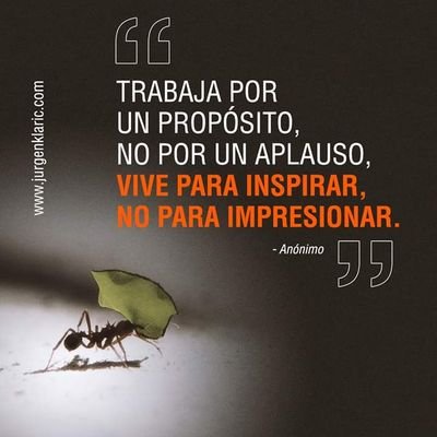 vitotuvoz_77's profile picture. 