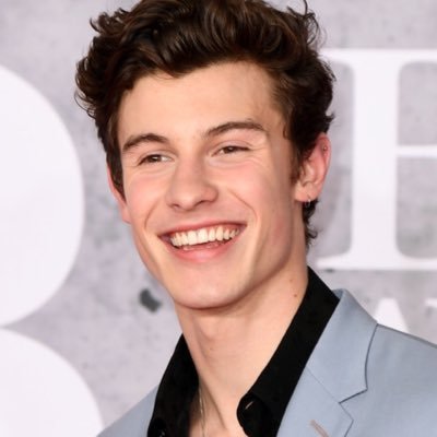 O seu principal projeto de votações para o cantor e compositor Shawn Mendes no Brasil.