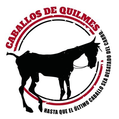 Rescatamos caballos del maltrato y el abandono en Quilmes, uno de los municipios más golpeados por el flagelo de la tracción a sangre.
#LeynomasTAS